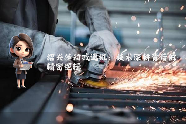 绍兴传动减速机:技术深耕背后的精密逻辑