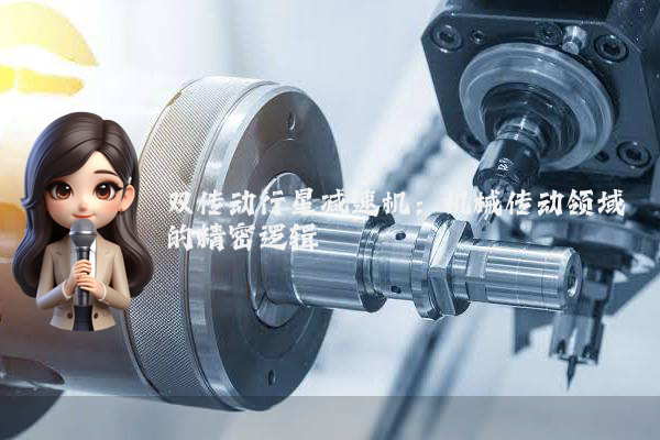 双传动行星减速机:机械传动领域的精密逻辑