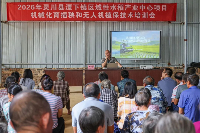 科技种田现场教学！潭下镇水稻机械化培训干货拉满